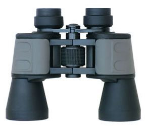 HVP11