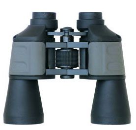 HVP12