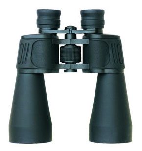 HVP29
