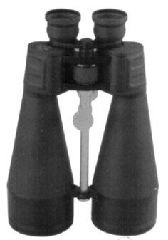 HVP38