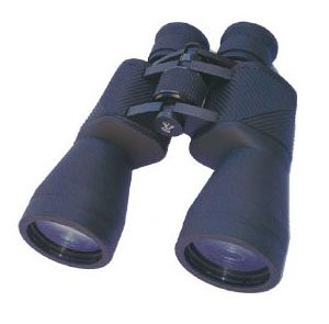 HVP71